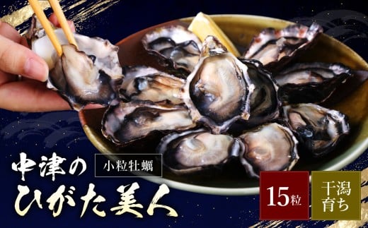 【期間限定】中津ひがた美人 (牡蠣 15粒) 養殖 | 冷蔵 かき オイスター 酒の肴 つまみ おかず 大分県産 九州産 国産 大分県 中津市
