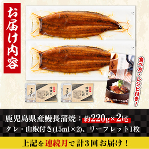 【3回定期便(連続月)】鹿児島県産 うなぎ蒲焼 特大 サイズ 2尾セット ＜（約220g×2・計約440g）×全3回＞  【薩摩川内鰻】 i1172-A