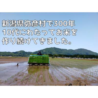 ふるさと納税 弥彦村 新県弥彦村石井農園　令和7年産コシヒカリ白米・玄米 食べ比べセット【白米5kg、玄米5kg】 |  | 02