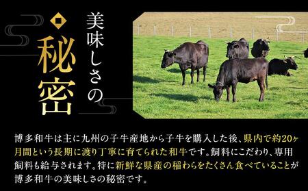 厳選部位 博多和牛 サーロイン しゃぶしゃぶすき焼き用 600g ( 300g×2パック ) | 牛肉 和牛 黒毛和牛 牛 スライス 小分け しゃぶしゃぶ すき焼き すきやき 焼きしゃぶ お鍋 鍋 お