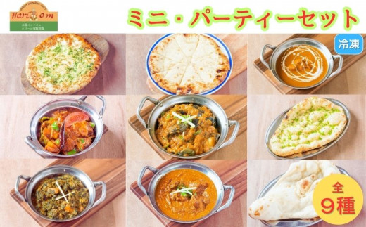 手作りインドカレー ミニ・パーティーセット  カレー5種類 ナン4種類
