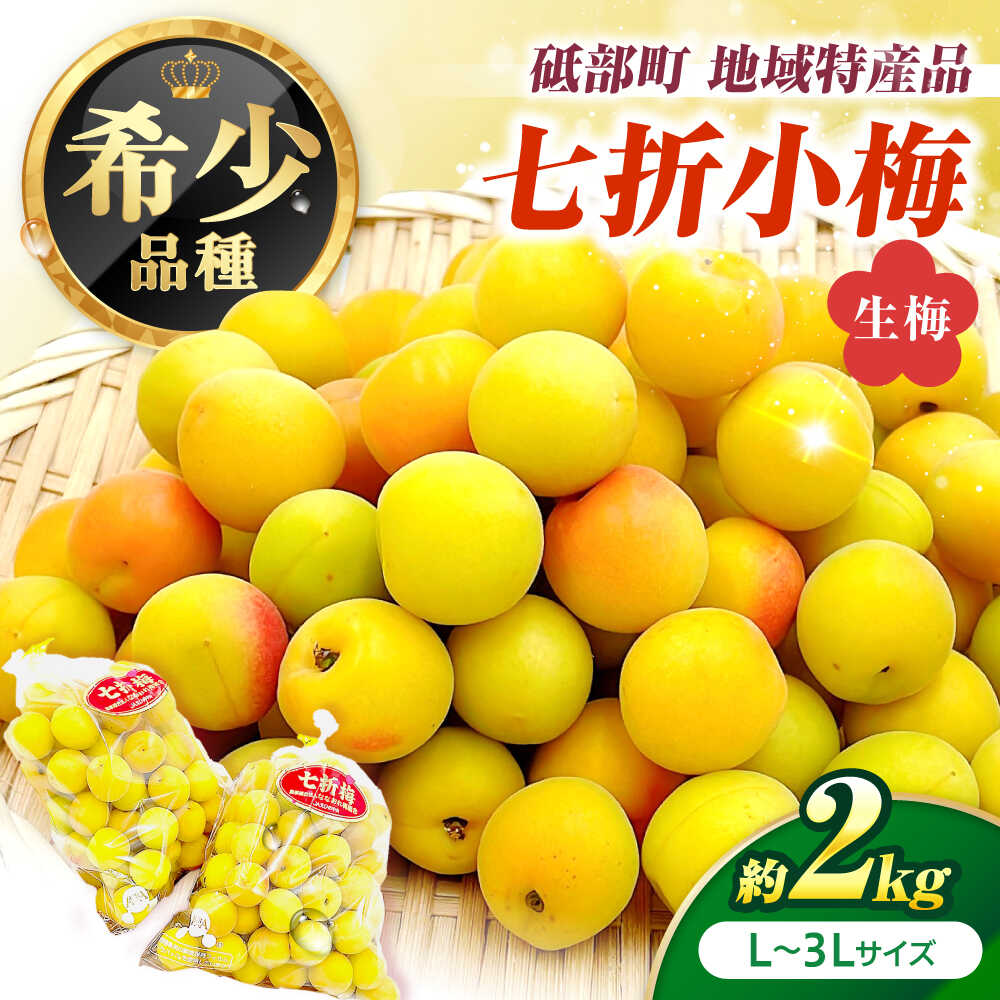 【ふるさと納税】梅 七折小梅(生梅) 2kg 【5月中旬から6月下旬まで順次発送】 / 小梅 青梅 生梅 梅干し 梅干 梅酒 梅ジュース 梅シロップ 2kg 先行予約 梅ジャム 果肉 青いダイヤ青梅 生梅 果実 国産 人気 おすすめ / 愛媛県砥部町/株式会社フジ・アグリフーズ[BJBI011]