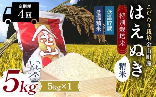 【令和7年産】定期4回 金山町産 特別栽培米 はえぬき 精米 5kg×4回 合計20kg 米 お米 ご飯 ブランド米 定期便 低温貯蔵 低温精米 F4B-0837