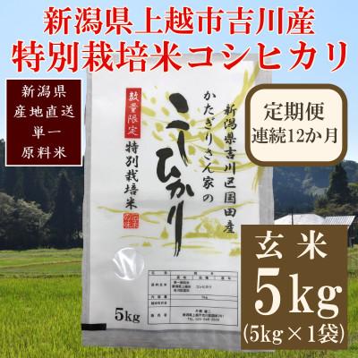 ふるさと納税 上越市 【毎月定期便】新潟県上越市吉川区国田産/特別栽培米コシヒカリ 玄米5kg(1袋)全12回