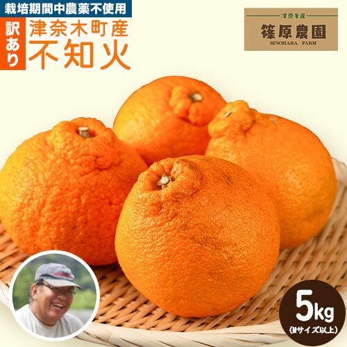 【ふるさと納税】先行予約 訳あり 不知火 5kg (M サイズ以上) デコポン と同品種《2026年2月下旬-3月中旬頃出荷》熊本県 葦北郡 津奈木町 篠原農園 訳あり デコポン 青果物 フルーツ みかん