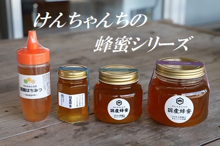 けんちゃんちのはちみつ(460g)中《30日以内に出荷予定(土日祝除く)》| ふるさと納税 はちみつ ハチミツ 蜂蜜 国産蜂蜜 天然蜜蜂 徳島県 佐那河内村 送料無料