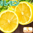 【ふるさと納税】国産 レモン ハウス栽培 約5kg ときわオンライン《2025年2月上旬-6月中旬頃出荷》 柑橘 和歌山県 紀の川市 フルーツ 果物 レモン 檸檬 送料無料