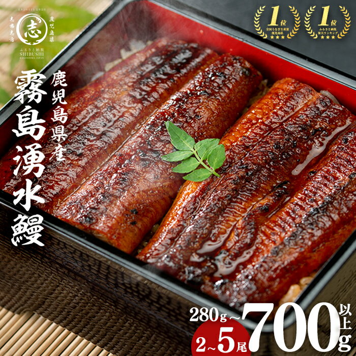 うなぎ生産量日本一の鹿児島県！山田水産の霧島湧水鰻 160g以上×5尾＜計800g以上＞