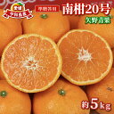【ふるさと納税】 準 贈答用 みかん 南柑20号 5kg 矢野青果 温州みかん 柑橘 温州 うんしゅう 果物 くだもの フルーツ 濃厚 甘い 甘味 蜜柑 準贈答用 贈答品 贈答 ギフト プレゼント 産地直送 農家直送 数量限定 国産 愛媛 宇和島 B012-171005