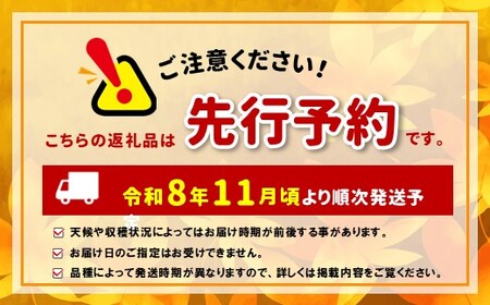 【先行受付】訳アリ　サンふじ　3kg　（9～12玉）