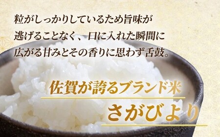 《先行予約》《2026年3月発送》 令和7年産 さがびより（精米）15㎏