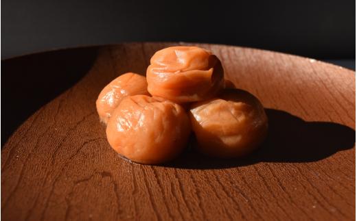 【紀州南高梅】ふるさとの梅干し うす塩梅×しそ漬セット 250g×2 / 和歌山 田辺 紀州 南高梅 お試し 試食 初めて 味見 特選 国産 おにぎり お弁当 二種 500g  免疫 塩分補給 【nmn002】