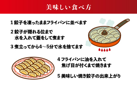 宝永オリジナル餃子セット【宝永餃子500g×5袋】餃子 冷凍 お取り寄せ 苫小牧市 北海道