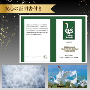 羽毛布団 シングル ホワイトコウダ ポーランド産マザーホワイトグースダウン95％ 布団 セーヌ