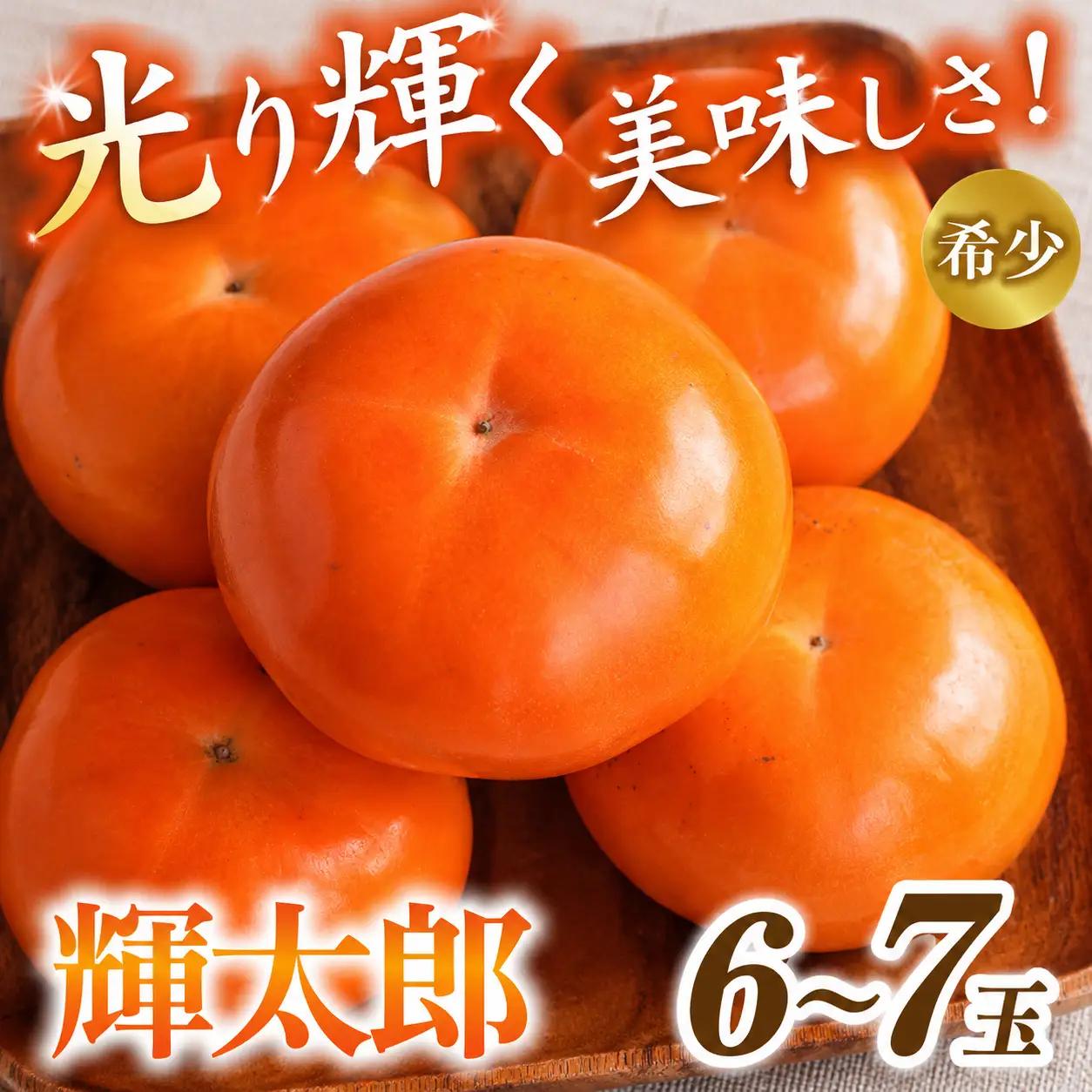【希少な高級甘柿】先行予約 〇 輝太郎 〇 6～7玉入り【2026年9月中旬～10月上旬頃発送予定】【A-frks176】