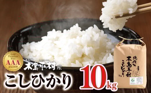 【先行予約】木島平産こしひかり 約10kg | 米 白米 精米 特別栽培米 コシヒカリ こしひかり お米 おこめ 無農薬 長野県 木島平村 信州