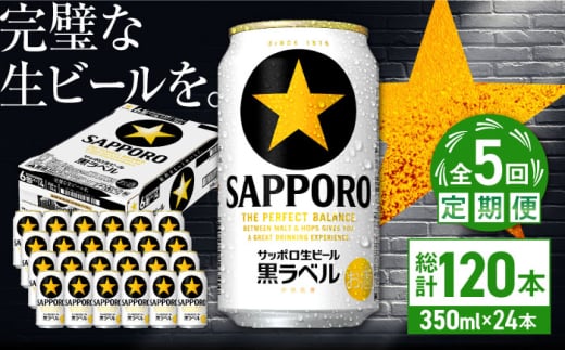 【全5回定期便】サッポロ生ビール 黒ラベル 350ml×24缶　合計120缶 日田市 / 株式会社綾部商店 [ARDC070]