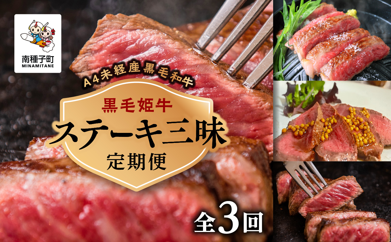 【定期便】ステーキ三昧（全3回）【Meat you Kitchen姫ファーム】