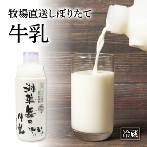 プリン 2種 計6個 しぼりたて 牛乳 900ml セット 湖華舞  ( 牛乳 プリン プレーン プリン 抹茶 プリン 冷蔵 プリン デザート プリン おやつ プリン 洋菓子 プリン 産地直送  プレ