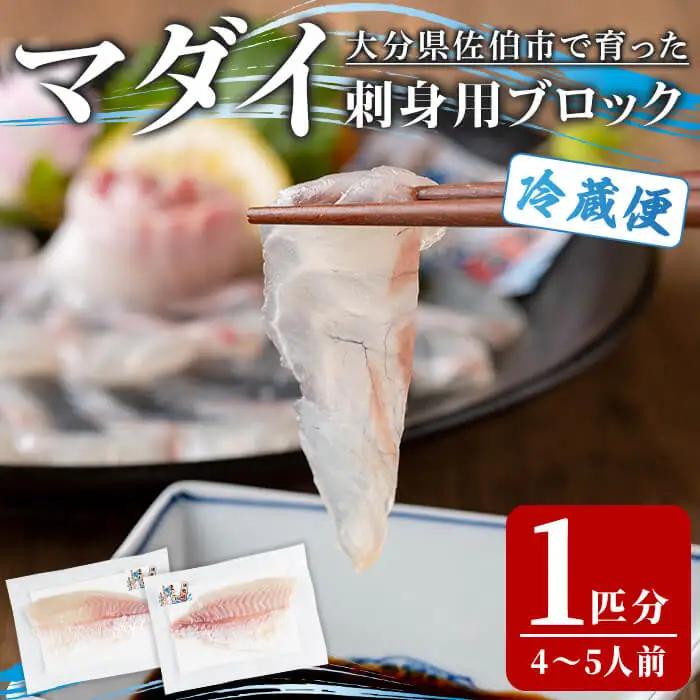 マダイ 刺身用 ブロック (1匹分・4-5人前) マダイ 真鯛 鮮魚 刺身 海鮮 鮮魚 さしみ 刺し身  【opba004】【海べ】