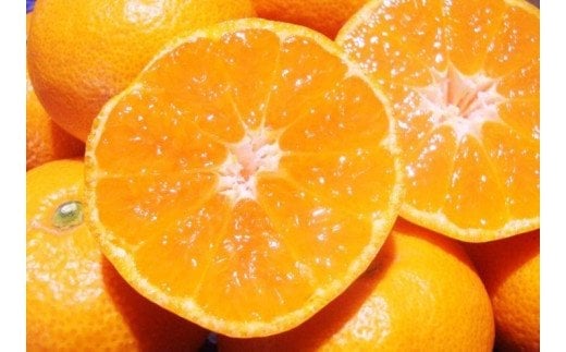 【訳あり】農家直送 有田みかん 約7.5kg ご家庭用 サイズ混合 ※2025年11月中旬から2026年1月中旬までに順次発送予定（お届け日指定不可）※北海道・沖縄・離島への配送不可　訳ありみかん 温