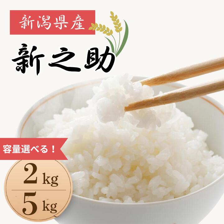【ふるさと納税】米 コメ お米 おこめ 新之助 精米 白米 2kg 5kg 令和7年産 2025年産 送料無料 新潟 見附 見附市 岩渕農場