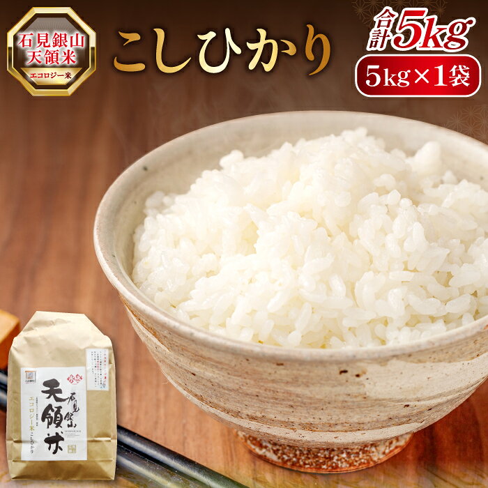【ふるさと納税】コシヒカリ 5kg こしひかり 精米 お弁当 おにぎり おむすび ごはん お米 石見銀山 天領米 氷感熟成 エコロジー米 島根県産 大田市
