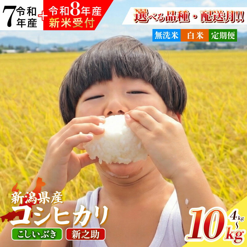 【ふるさと納税】 先行予約 令和8年産 受付開始！ 新潟県産 コシヒカリ こしいぶき 新之助 選べる 配送月 容量 4kg 5kg 10kg 単品 定期便 3回 6回 精米 無洗米 四代目 悠助 コンテスト入賞 米 定期便 新発田 新潟 D71P