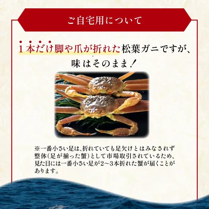 【活き】ご自宅用松葉ガニ　大　１枚【松葉ガニ 松葉がに 松葉蟹 まつばがに かに カニ 冷蔵 チルド ブランド ズワイガニ 活き 自宅用 冬 国産 季節限定 お取り寄せ 鳥取県 日吉津村 日本海】