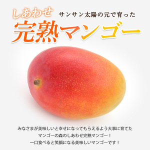 【2026年発送】しあわせ 完熟 マンゴー 3～6玉入 マンゴーの森 IB040-002 マンゴー フルーツ 果物