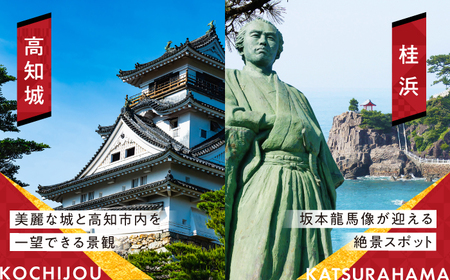 【高知市】 日本旅行 地域限定旅行クーポン300，000円分 【株式会社日本旅行】[ATHI006]