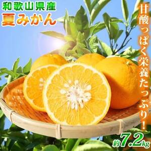 【2026年4月中旬より発送】夏みかん7.2kg【日高町】【1216956】
