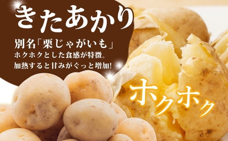 R8年産 先行受付 じゃがいも きたあかり 10kg 2026年9月下旬より順次出荷 栗じゃがいも ホクホク 甘い ポテトサラダ コロッケ 産地直送 お取り寄せ 国産 小野寺農園 北海道 洞爺湖町 