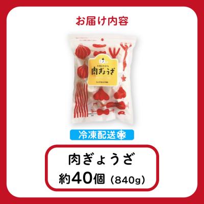 ふるさと納税 三原市 paoの無添加餃子「大地のちから 肉ぎょうざ」840g(約40個)  [058-008] |  | 01