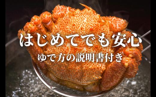 【令和7年発送】【期間限定2月〜4月発送】三陸産 三陸活毛ガニ 400g×2杯 (2尾)【配送日指定不可】　