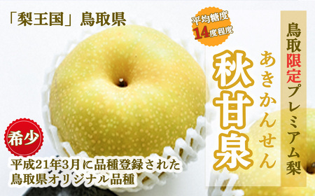 【倉吉産】秋甘泉 5kg  梨 果物 フルーツ 梨 秋甘泉