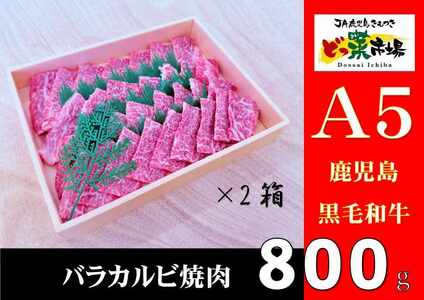 2881 A5ランク鹿児島産黒毛和牛バラカルビ焼肉木箱 800g 400g×2箱 KN010-005-02 黒毛和牛 和牛 牛肉 肉 国産 冷凍 a5ランク バラ カルビ セット 詰め合わせ 鹿屋市きもつき農業協同組合 ふるさと納税 鹿児島 鹿屋市 おすすめ ランキング プレゼント ギフト
