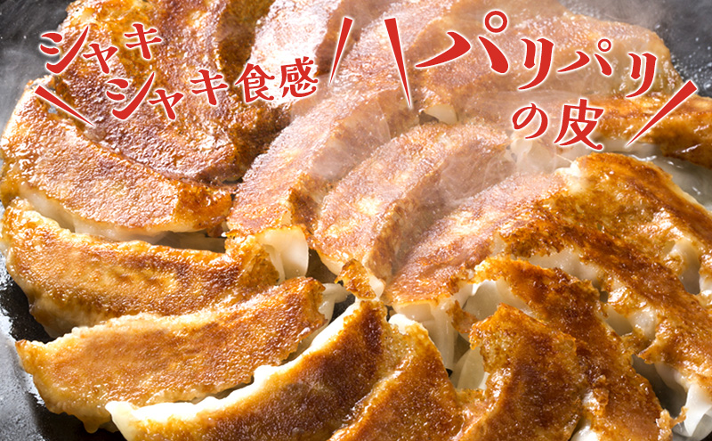 「お宮さんの冷凍うま辛浜松餃子18個」 餃子 ぎょうざ ギョウザ シャキシャキ食感 パリパリの皮 浜松餃子 冷凍餃子 冷凍 惣菜 おつまみ 中華 点心 静岡 浜松市