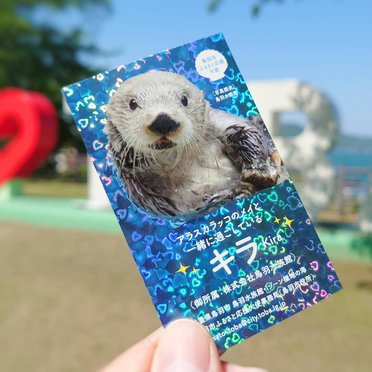 
            K-4きらきらのきらのめいし
          