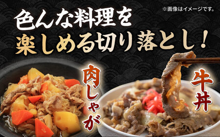 長崎和牛 切り落とし 600g（300g×2パック）《壱岐市》【長崎フードサービス】 肉 牛肉 赤身 小分け 国産 切落し 切り落し 冷凍配送 9000 9000円[JEP008]
