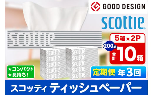 《4ヶ月ごとに3回お届け》定期便 ティッシュペーパー スコッティ 200組 10箱(5箱×2パック) ティッシュ 秋田市オリジナル【レビューキャンペーン中】