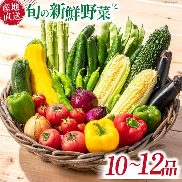 旬の新鮮 野菜詰め合わせセット（10品-12品）[SCB094] 野菜