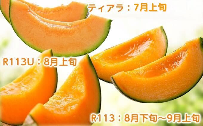 【2026年7～9月連続お届け】3品種 ふらの メロン 定期便 ≪計