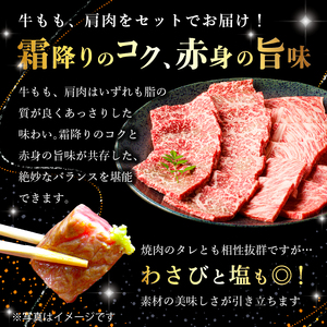 那須野ヶ原和牛 旨味の霜降り焼肉500g(約3～5人前) ns004-012 
