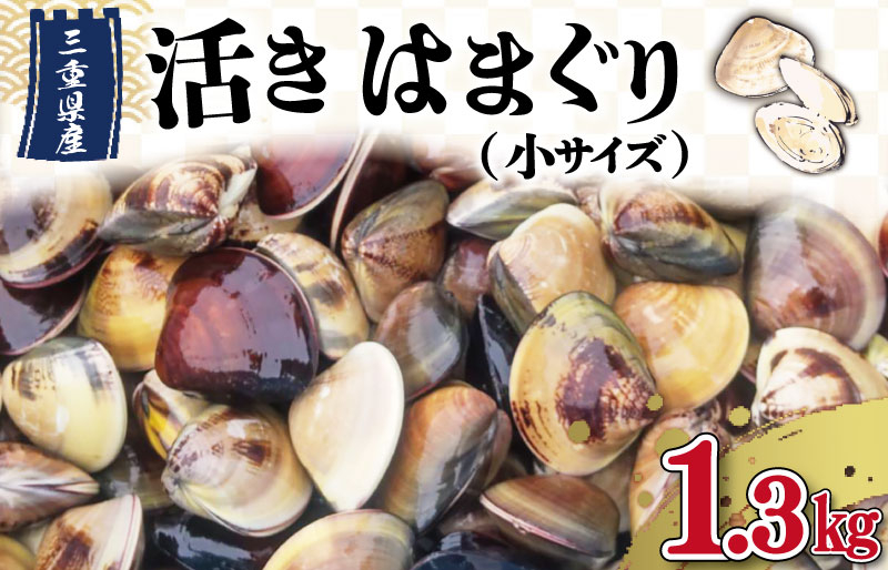 
【しもい水産】三重県産　活きはまぐり　小サイズ　1.3㎏
