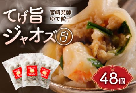 てげ旨ジャオズ【白】6食分（48個入） 餃子 ぎょうざ 48個 茹で餃子 冷凍餃子 豚肉 ニラ にんにく不使用 惣菜 お惣菜 おかず 簡単 簡単調理 茹でる 茹でるだけ 小分け パック 袋 冷凍 グルメ お取り寄せ ギフト