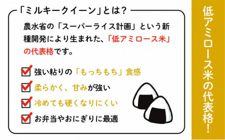 【令和7年産新米】【 3回 定期便 】ミルキークイーン 10kg （ 5kg × 2袋 ）《糸島》【 玄米 ・ 精米 専門店 新飼宗一郎商店】 [ADE004]