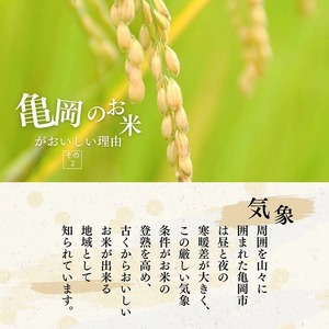 令和7年産 コシヒカリ 5kg 米 白米