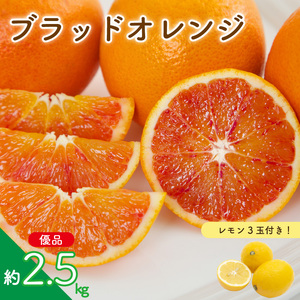 【先行予約】ブラッドオレンジ (優品) 約2.5kg & 瀬戸内海の島レモン 3玉 セット | みかんみかんみかんみかんみかん 【KK320】