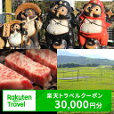 【ふるさと納税】滋賀県甲賀市の対象施設で使える楽天トラベルクーポン 寄付額100,000円